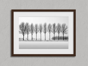 Black and white tree wall art featuring a row of bare winter trees across a minimalist snowy landscape