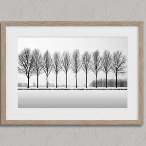 Black and white tree wall art featuring a row of bare winter trees across a minimalist snowy landscape