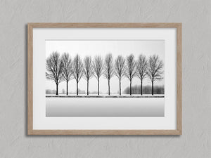 Black and white tree wall art featuring a row of bare winter trees across a minimalist snowy landscape