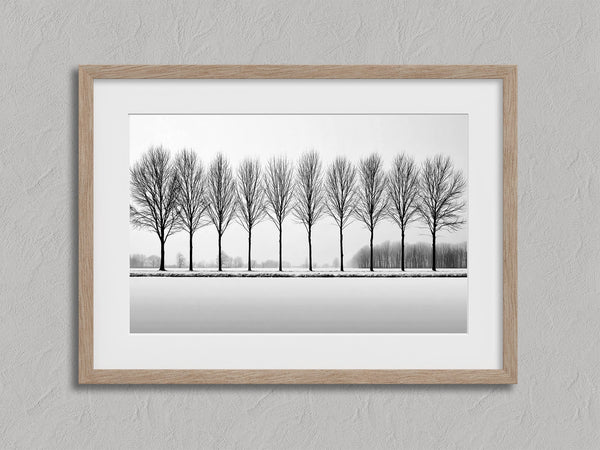 Black and white tree wall art featuring a row of bare winter trees across a minimalist snowy landscape