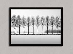 Black and white tree wall art featuring a row of bare winter trees across a minimalist snowy landscape