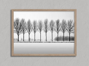 Black and white tree wall art featuring a row of bare winter trees across a minimalist snowy landscape