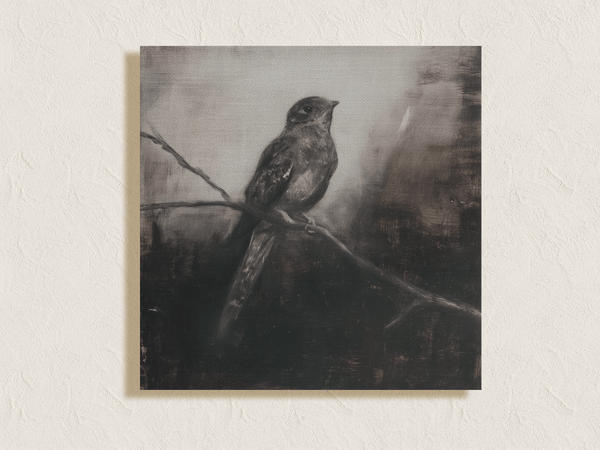 Canvas wall art of a solitary nightjar in monochrome. A contemplative charcoal bird print, ready to hang.