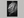 After Rain – Black and White Leaf Wall Art Print, unframed print with no border