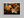 Amber Autumn – Autumn Leaves Wall Art Print in a white frame, no mount
