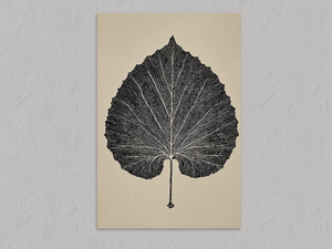 Aspen Leaf – Minimalist Botanical Wall Art Print, unframed print with no border