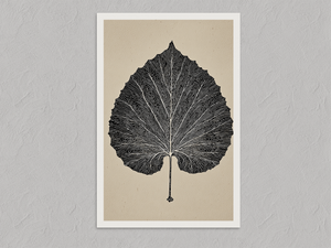Aspen Leaf – Minimalist Botanical Wall Art Print, unframed print with a white border