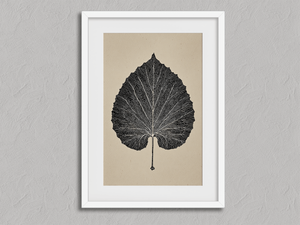 Aspen Leaf – Minimalist Botanical Wall Art Print in a white frame with a mount