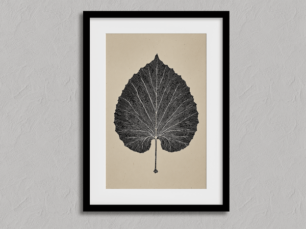 Framed botanical print of a single aspen leaf in fine line art. Minimalist, organic wall decor with timeless natural elegance.
