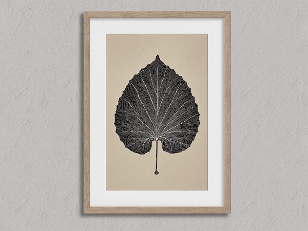 Framed botanical print of a single aspen leaf in fine line art. Minimalist, organic wall decor with timeless natural elegance.