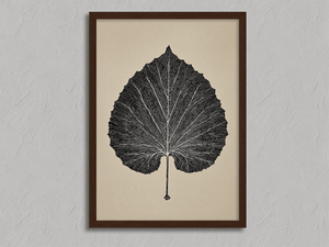 Framed aspen leaf botanical wall art print by Atelier Lumin