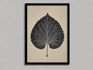 Framed aspen leaf botanical wall art print by Atelier Lumin