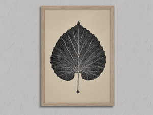 Framed aspen leaf botanical wall art print by Atelier Lumin