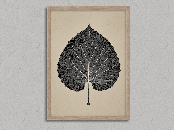 Framed botanical print of a single aspen leaf in fine line art. Minimalist, organic wall decor with timeless natural elegance.