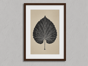 Framed aspen leaf botanical wall art print by Atelier Lumin