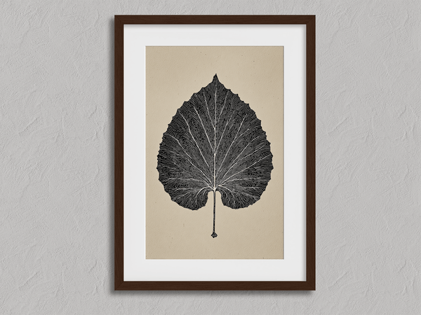 Framed botanical print of a single aspen leaf in fine line art. Minimalist, organic wall decor with timeless natural elegance.