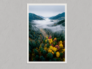 Autumn Above – Autumn Landscape Wall Art Print, unframed print with a white border