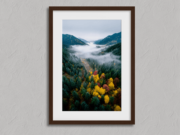 Framed fine art print of a misty valley in fall colours. Red, gold, and evergreen forest hues captured in a vivid autumn woodland scene.