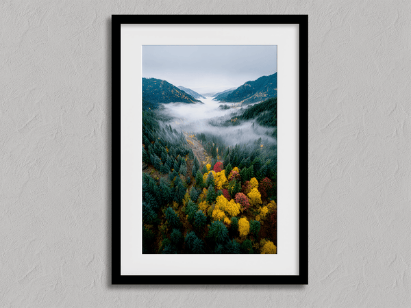 Framed fine art print of a misty valley in fall colours. Red, gold, and evergreen forest hues captured in a vivid autumn woodland scene.