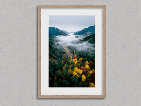 Framed fine art print of a misty valley in fall colours. Red, gold, and evergreen forest hues captured in a vivid autumn woodland scene.