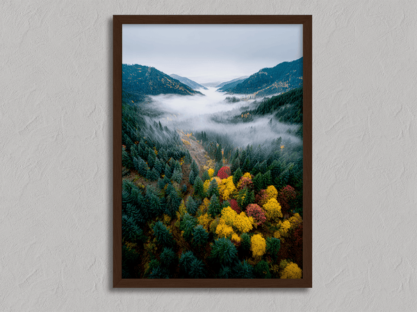 Framed fine art print of a misty valley in fall colours. Red, gold, and evergreen forest hues captured in a vivid autumn woodland scene.