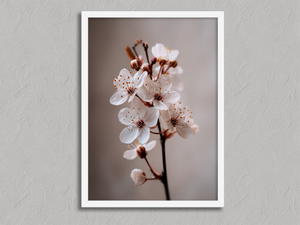 Blossom in Still Air – Cherry Blossom Wall Art Print in a white frame, no mount