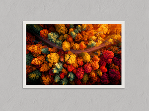 Crimson Canopy – Autumn Forest Wall Art Print, unframed print with a white border