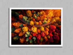Crimson Canopy – Autumn Forest Wall Art Print in a white frame, no mount