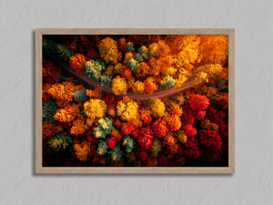 Framed aerial autumn forest print by Atelier Lumin