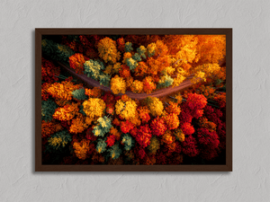 Framed aerial autumn forest print by Atelier Lumin