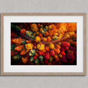 Canvas wall art of an autumn forest from above in crimson, gold, and flame hues. A vibrant seasonal landscape print. Ready to hang.