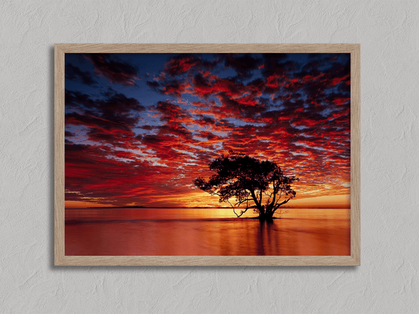 Framed wall art of a solitary ocean tree at sunrise. A serene fine art print capturing dawn’s quiet light over sea and sky.