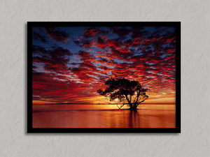 Framed coastal sunrise print with solitary ocean tree by Atelier Lumin