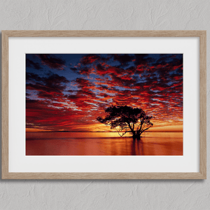 Framed wall art of a solitary ocean tree at sunrise. A serene fine art print capturing dawn’s quiet light over sea and sky.