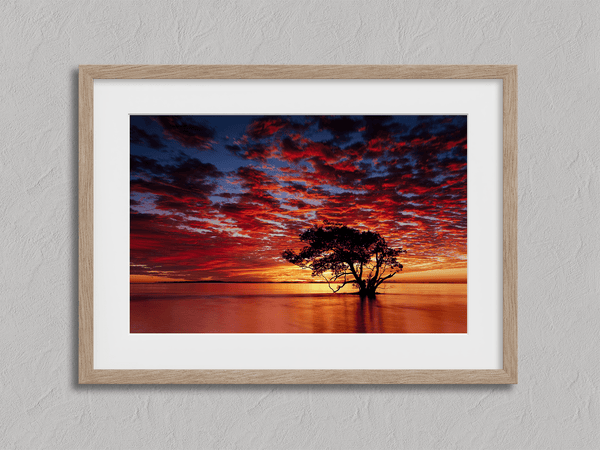 Framed wall art of a solitary ocean tree at sunrise. A serene fine art print capturing dawn’s quiet light over sea and sky.