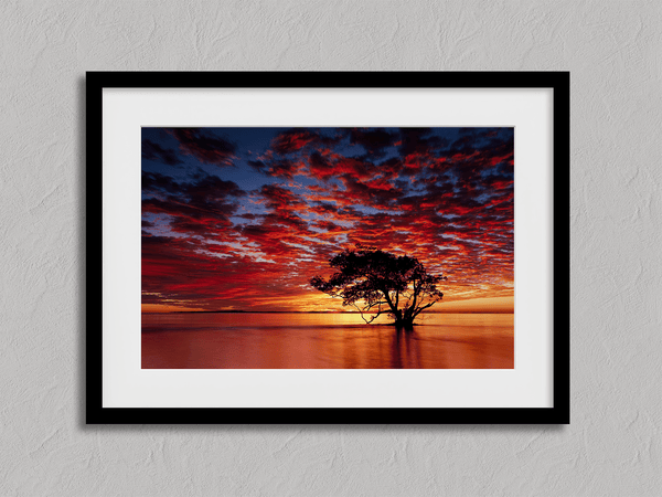 Framed wall art of a solitary ocean tree at sunrise. A serene fine art print capturing dawn’s quiet light over sea and sky.