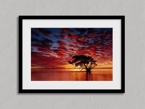 Zoe T testimonial image