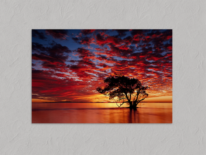 Dawn Breaks Quietly – Ocean Wall Art Print, unframed print with no border