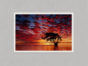 Dawn Breaks Quietly – Ocean Wall Art Print, unframed print with a white border