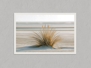 Dune Stillness – Coastal Dune Wall Art Print, unframed print with a white border