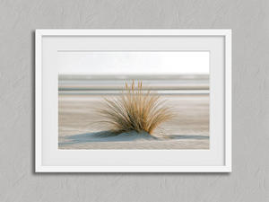 Dune Stillness – Coastal Dune Wall Art Print in a white frame with a mount