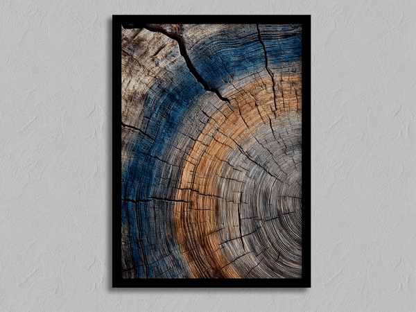 Framed fine art print of tree ring textures in warm browns and cool blues. A striking, timeless piece of nature-inspired wall art.