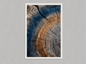Echoes in the Grain – Tree Ring Wall Art Print, unframed print with a white border