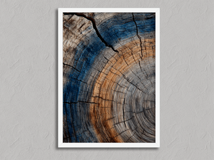 Echoes in the Grain – Tree Ring Wall Art Print in a white frame, no mount