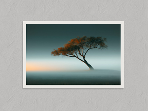 Ember in the Mist – Lone Autumn Tree Wall Art Print, unframed print with a white border