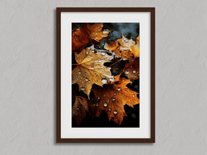 Framed autumn maple leaf print by Atelier Lumin
