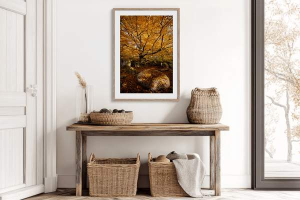 Framed woodland print of autumn roots and mossy millstone. A nature-inspired artwork capturing strength, resilience, and seasonal beauty.