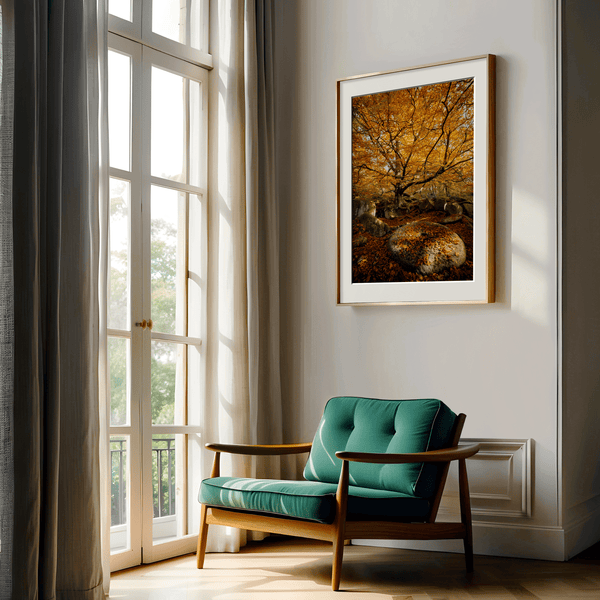 Framed woodland print of autumn roots and mossy millstone. A nature-inspired artwork capturing strength, resilience, and seasonal beauty.