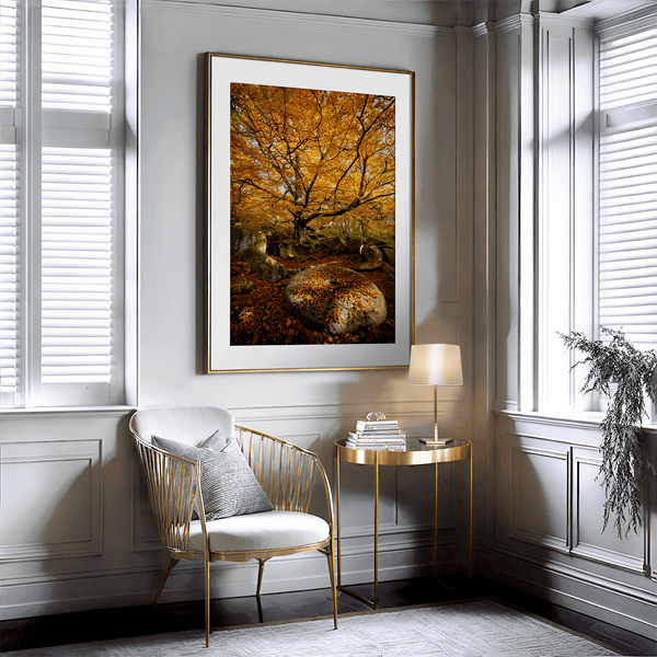 Framed woodland print of autumn roots and mossy millstone. A nature-inspired artwork capturing strength, resilience, and seasonal beauty.