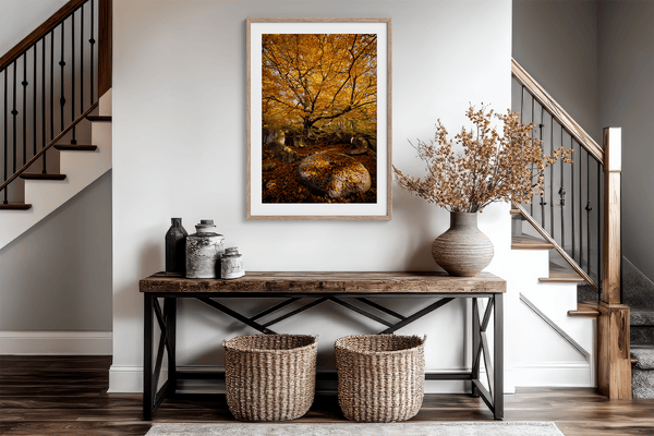 Framed woodland print of autumn roots and mossy millstone. A nature-inspired artwork capturing strength, resilience, and seasonal beauty.